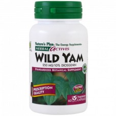 Препарат для регуляции гормональной системы у женщин Natures Plus Herbal Actives Wild Yam 250 мг 60 капсул (333389) Препарат для регуляции гормональной системы у женщин Natures Plus Herbal Actives Wild Yam 250 мг 60 капсул (333389)