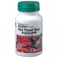 Препарат для поддержания сердечно-сосудистой системы Natures Plus Herbal Actives Red yeast Rice Gugulipid 60 капсул (333390) Препарат для поддержания сердечно-сосудистой системы Natures Plus Herbal Actives Red yeast Rice Gugulipid 60 капсул (333390)