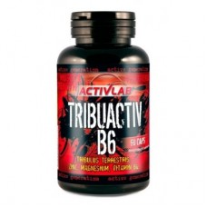 Трибулус Activlab Tribuactiv B6000 90 капсул (101734)