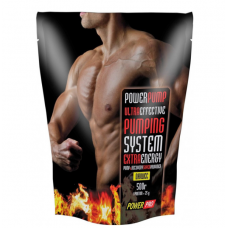 Предтренировочный комплекс Power Pro Power Pump 500 грамм Дюшес (102152-1)