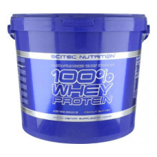 Протеин Scitec Nutrition 100% Whey Protein 5000 грамм Ваниль (101820-9) Протеин Scitec Nutrition 100% Whey Protein 5000 грамм Ваниль (101820-9)