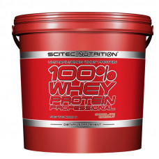 Протеин Scitec Nutrition 100% Whey Protein Professional 5000 грамм Шоколад с кокосом (101821-4) Протеин Scitec Nutrition 100% Whey Protein Professional 5000 грамм Шоколад с кокосом (101821-4)