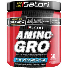 Аминокислота Isatori Amino-Gro 270 грамм Голубая малина (104199-1) Аминокислота Isatori Amino-Gro 270 грамм Голубая малина (104199-1)