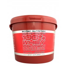 Протеин Scitec Nutrition 100% Whey Protein Professional 5000 грамм Корица с белый шоколадом мокко (101821-9) Протеин Scitec Nutrition 100% Whey Protein Professional 5000 грамм Корица с белый шоколадом мокко (101821-9)