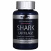 Препарат для восстановления суставов и связок Scitec Essentials Shark Cartilage 75 капсул (333802)